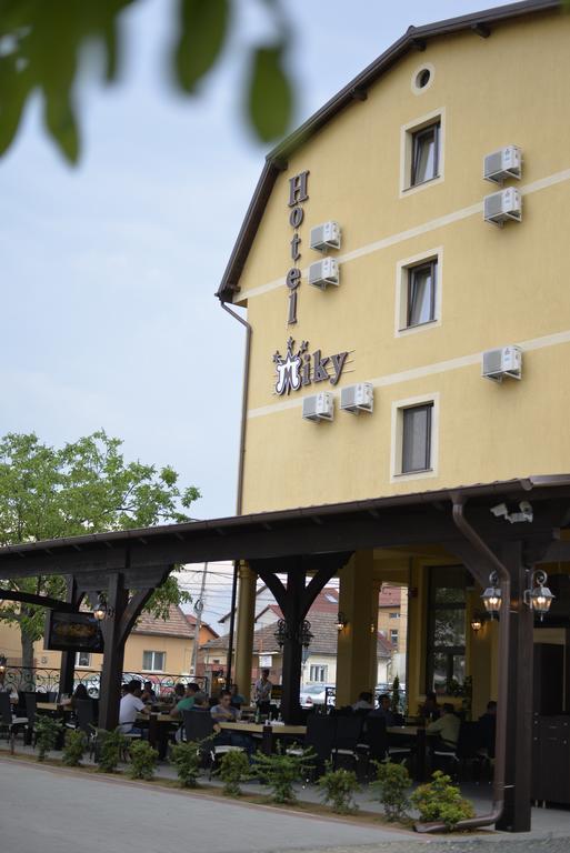 Hotel Miky Arad Bagian luar foto